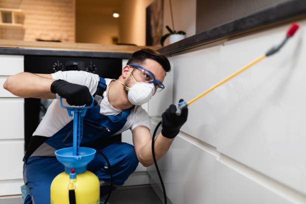 Best Termite Control Services  in Norway, MI