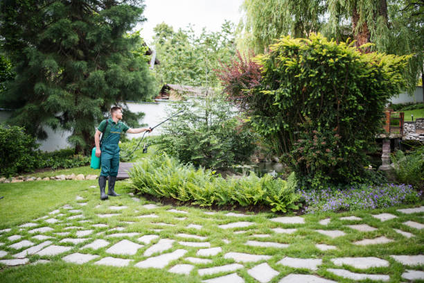 Best Best Pest Control Companies  in Norway, MI