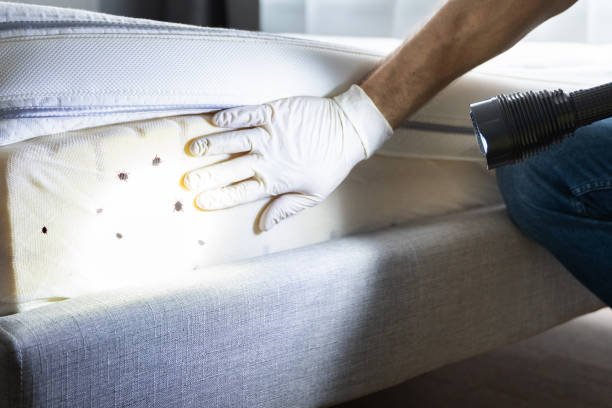 Best Pest Prevention Services  in Norway, MI