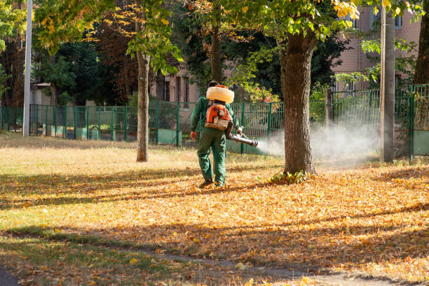 Pest Prevention Services in Norway, MI